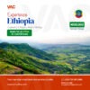 Ethiopia visa application from the best travel agent in nigeria