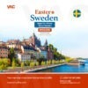 Sweden visa application from the best travel agent in nigeria
